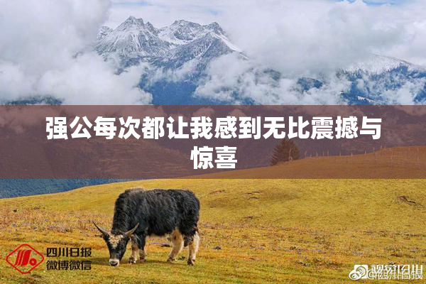强公每次都让我感到无比震撼与惊喜