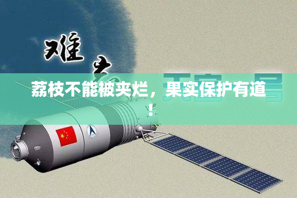 荔枝不能被夹烂，果实保护有道！