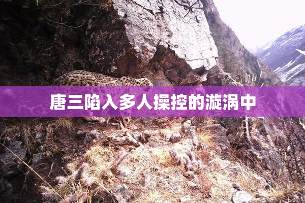 唐三陷入多人操控的漩涡中
