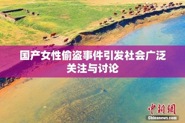 国产女性偷盗事件引发社会广泛关注与讨论