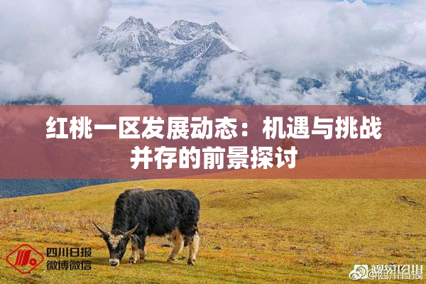 红桃一区发展动态：机遇与挑战并存的前景探讨