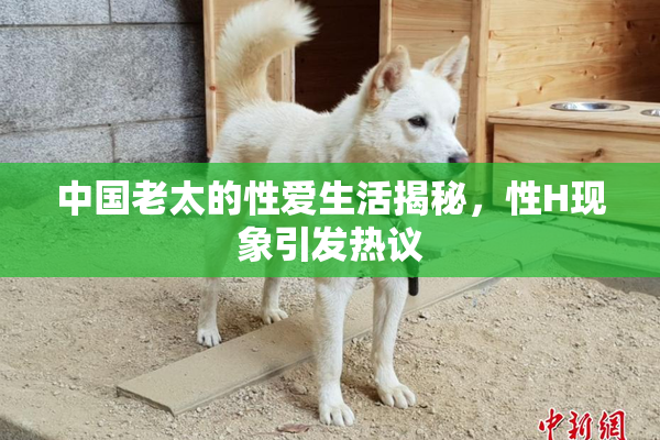中国老太的性爱生活揭秘，性H现象引发热议