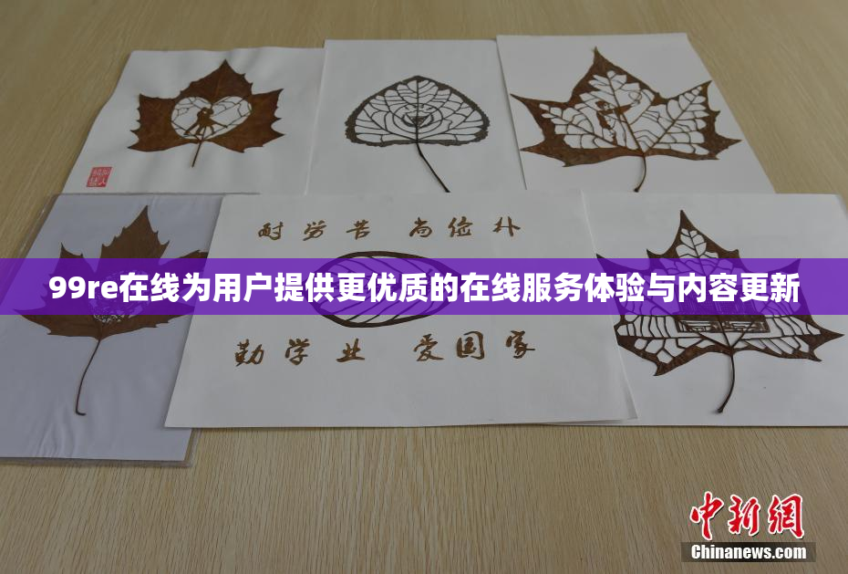 99re在线为用户提供更优质的在线服务体验与内容更新