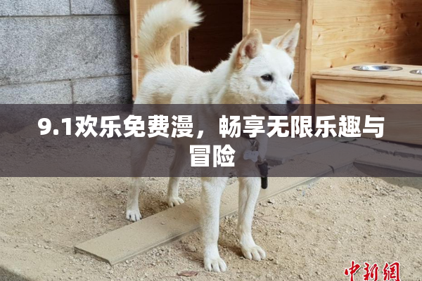 9.1欢乐免费漫，畅享无限乐趣与冒险