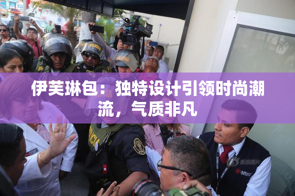 伊芙琳包：独特设计引领时尚潮流，气质非凡
