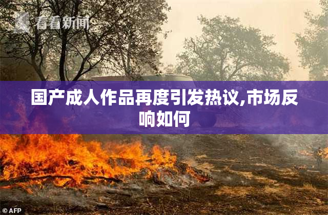 国产成人作品再度引发热议,市场反响如何