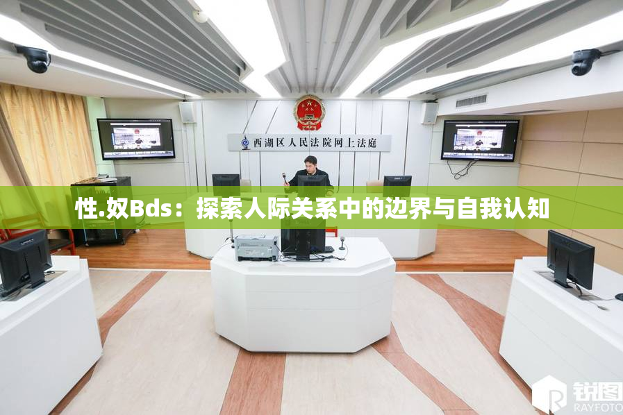 性.奴Bds：探索人际关系中的边界与自我认知