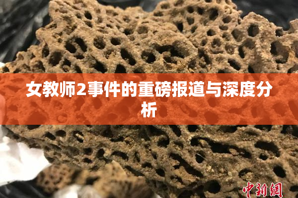 女教师2事件的重磅报道与深度分析