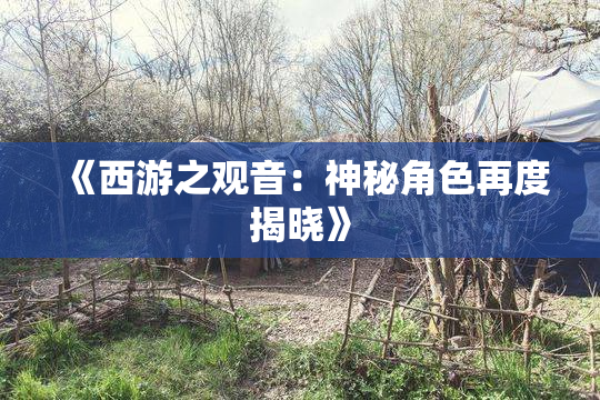 《西游之观音：神秘角色再度揭晓》