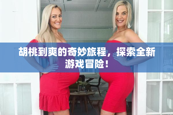 胡桃到爽的奇妙旅程，探索全新游戏冒险！