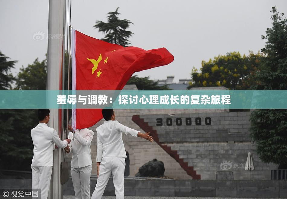 羞辱与调教：探讨心理成长的复杂旅程