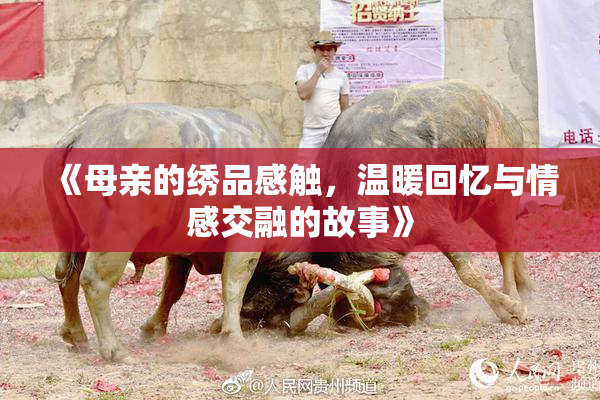 《母亲的绣品感触，温暖回忆与情感交融的故事》