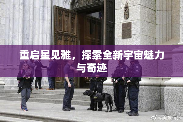 重启星见雅，探索全新宇宙魅力与奇迹