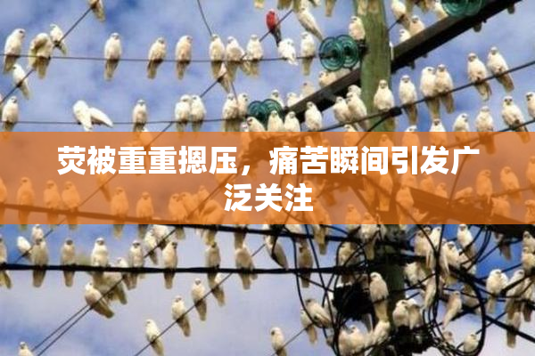 荧被重重摁压，痛苦瞬间引发广泛关注