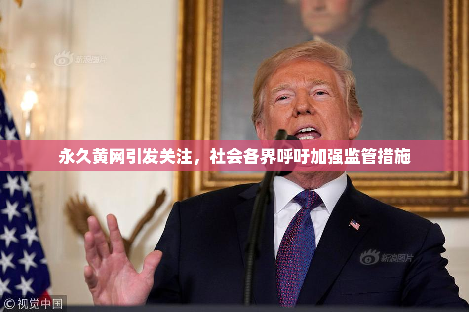 永久黄网引发关注，社会各界呼吁加强监管措施