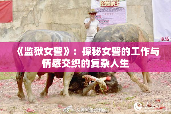 《监狱女警》：探秘女警的工作与情感交织的复杂人生