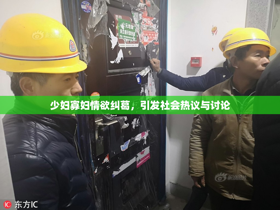 少妇寡妇情欲纠葛，引发社会热议与讨论