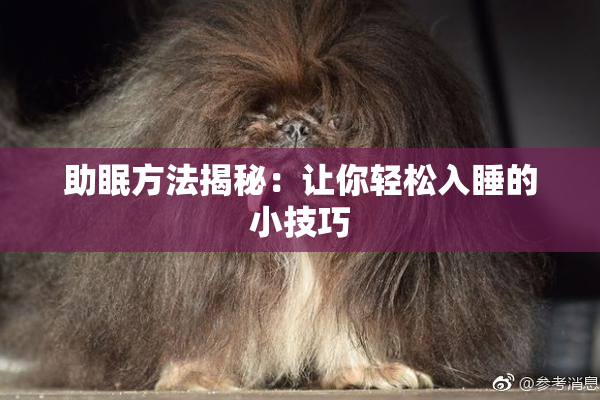 助眠方法揭秘：让你轻松入睡的小技巧