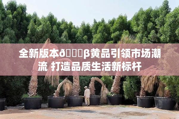 全新版本🔞β黄品引领市场潮流 打造品质生活新标杆