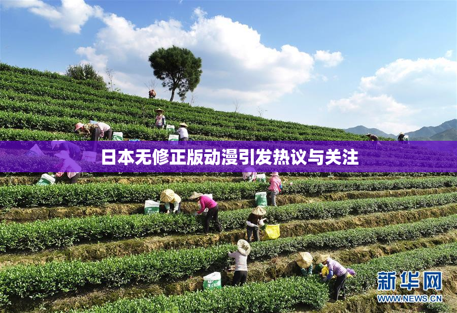 日本无修正版动漫引发热议与关注