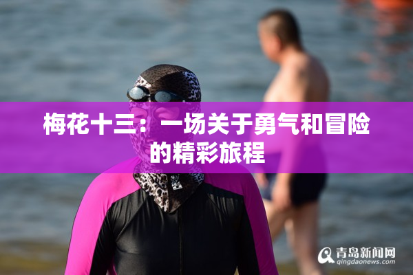 梅花十三：一场关于勇气和冒险的精彩旅程