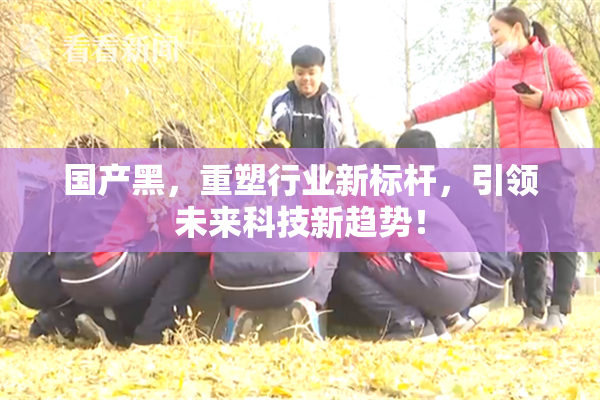 国产黑，重塑行业新标杆，引领未来科技新趋势！