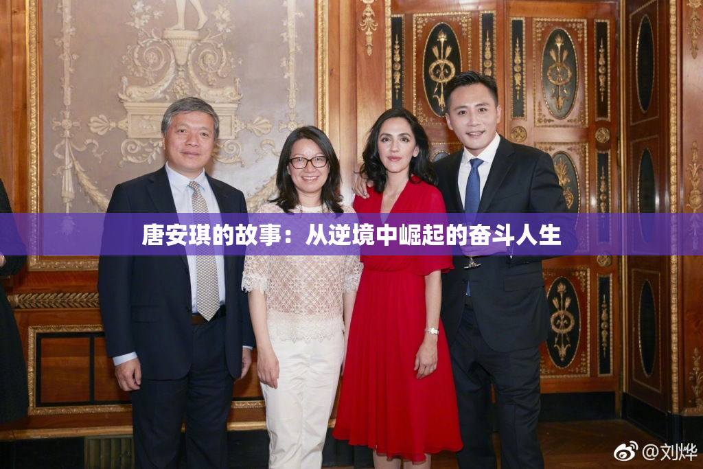 唐安琪的故事：从逆境中崛起的奋斗人生