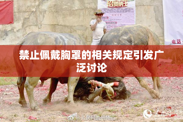 禁止佩戴胸罩的相关规定引发广泛讨论