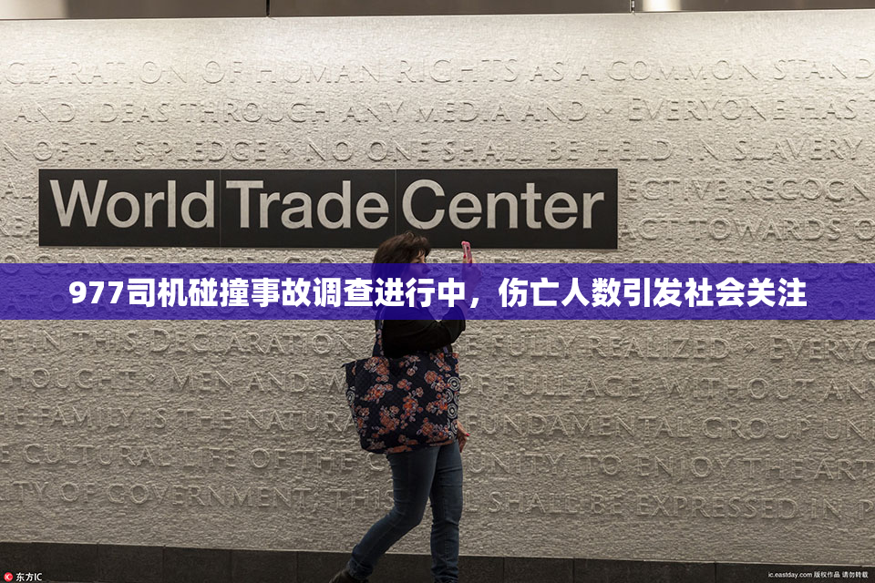 977司机碰撞事故调查进行中，伤亡人数引发社会关注