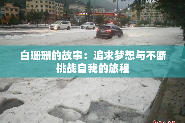 白珊珊的故事：追求梦想与不断挑战自我的旅程