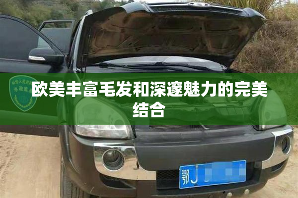 欧美丰富毛发和深邃魅力的完美结合