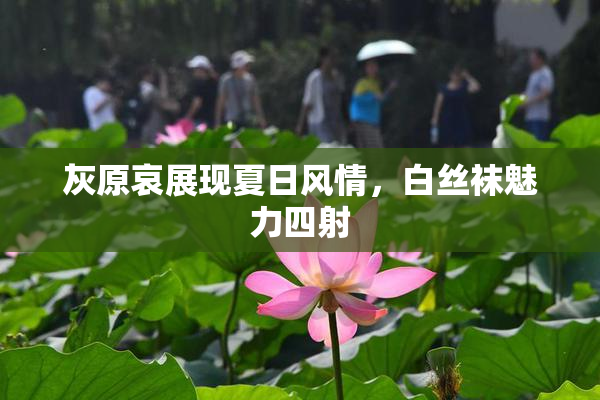 灰原哀展现夏日风情，白丝袜魅力四射