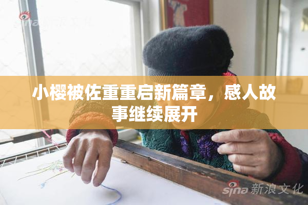 小樱被佐重重启新篇章，感人故事继续展开