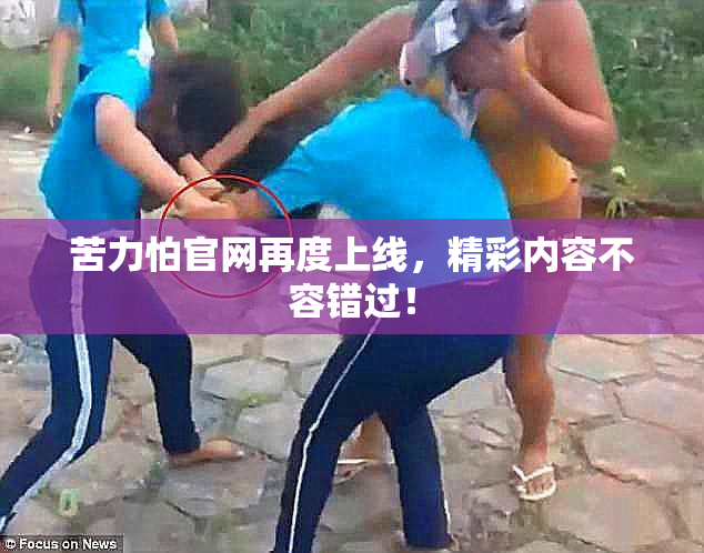 苦力怕官网再度上线，精彩内容不容错过！