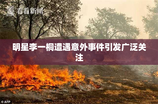 明星李一桐遭遇意外事件引发广泛关注
