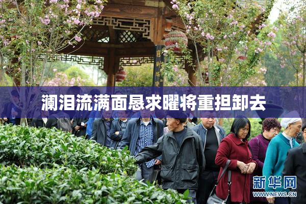 澜泪流满面恳求曜将重担卸去