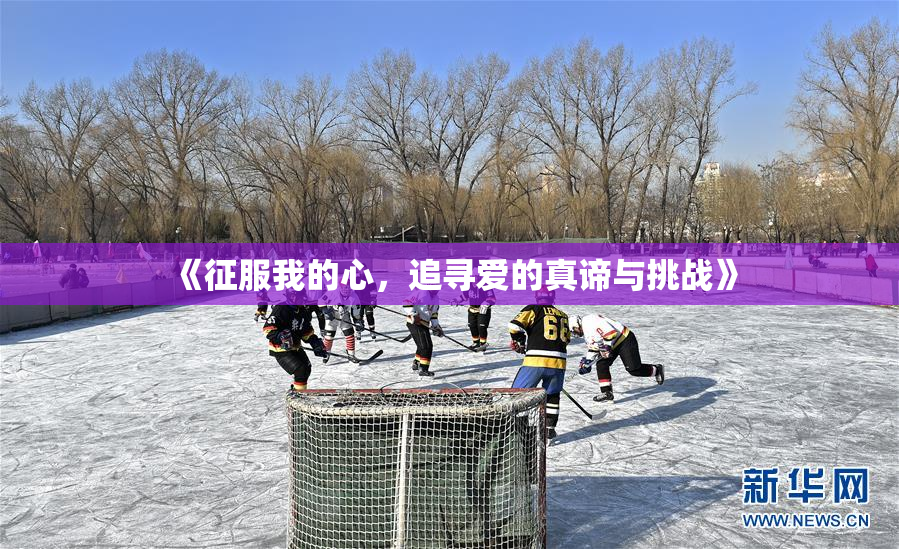 《征服我的心，追寻爱的真谛与挑战》