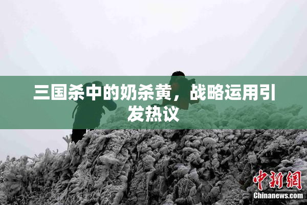 三国杀中的奶杀黄，战略运用引发热议