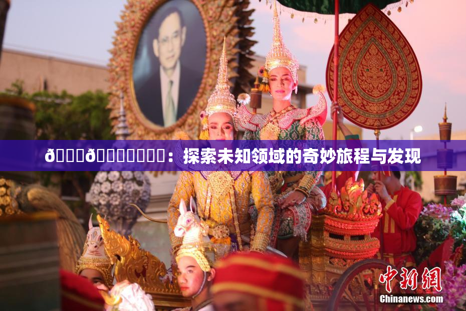 🍆🍑❌‌❌‌：探索未知领域的奇妙旅程与发现