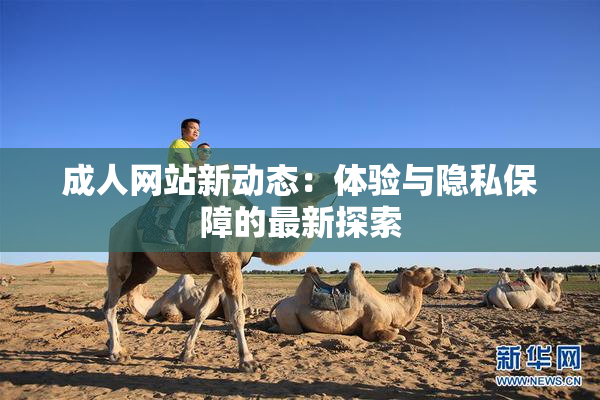 成人网站新动态：体验与隐私保障的最新探索