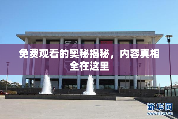 免费观看的奥秘揭秘，内容真相全在这里