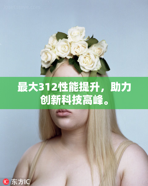 最大312性能提升，助力创新科技高峰。
