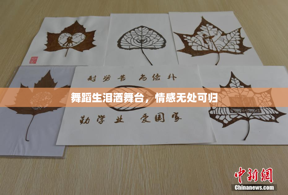 舞蹈生泪洒舞台，情感无处可归