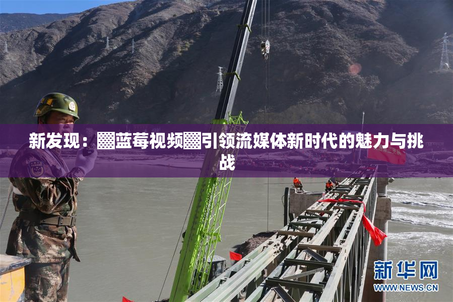新发现：▓蓝莓视频▓引领流媒体新时代的魅力与挑战