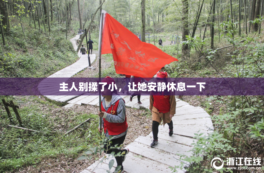 主人别揉了小，让她安静休息一下