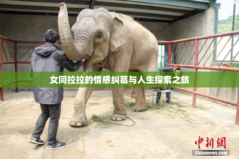 女同拉拉的情感纠葛与人生探索之旅