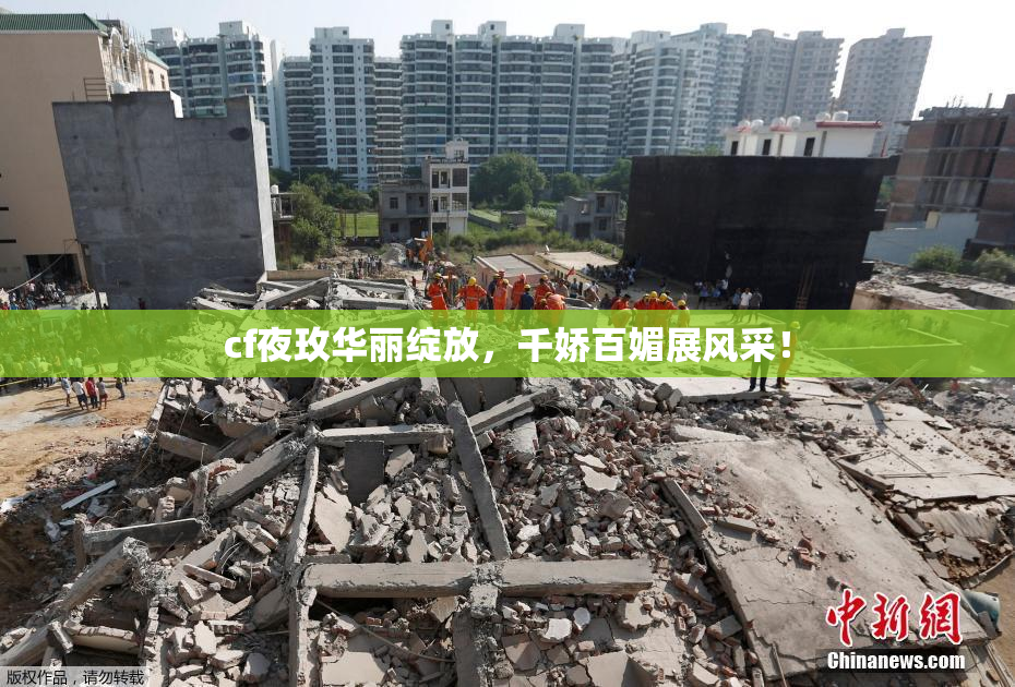 cf夜玫华丽绽放，千娇百媚展风采！