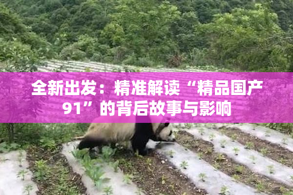 全新出发：精准解读“精品国产91”的背后故事与影响