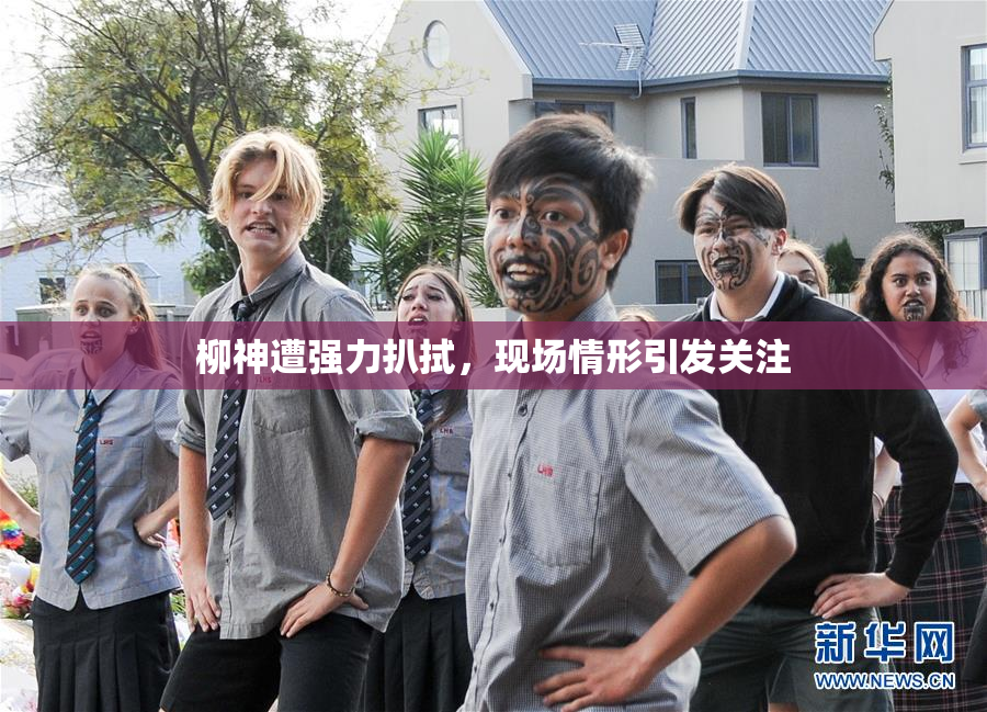 柳神遭强力扒拭，现场情形引发关注