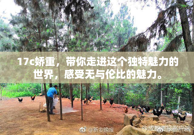 17c娇重，带你走进这个独特魅力的世界，感受无与伦比的魅力。